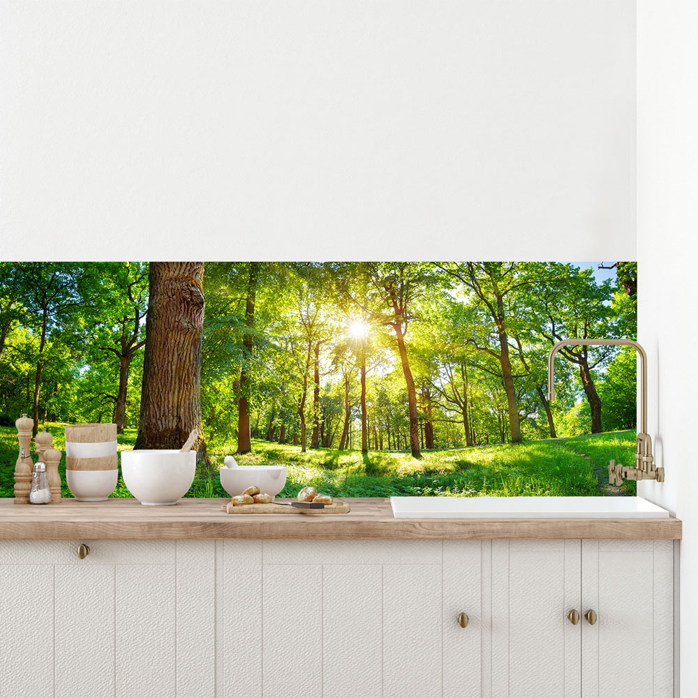 Oak Tree Soaked in Bright Sunl - Phone Cases Custom review and price