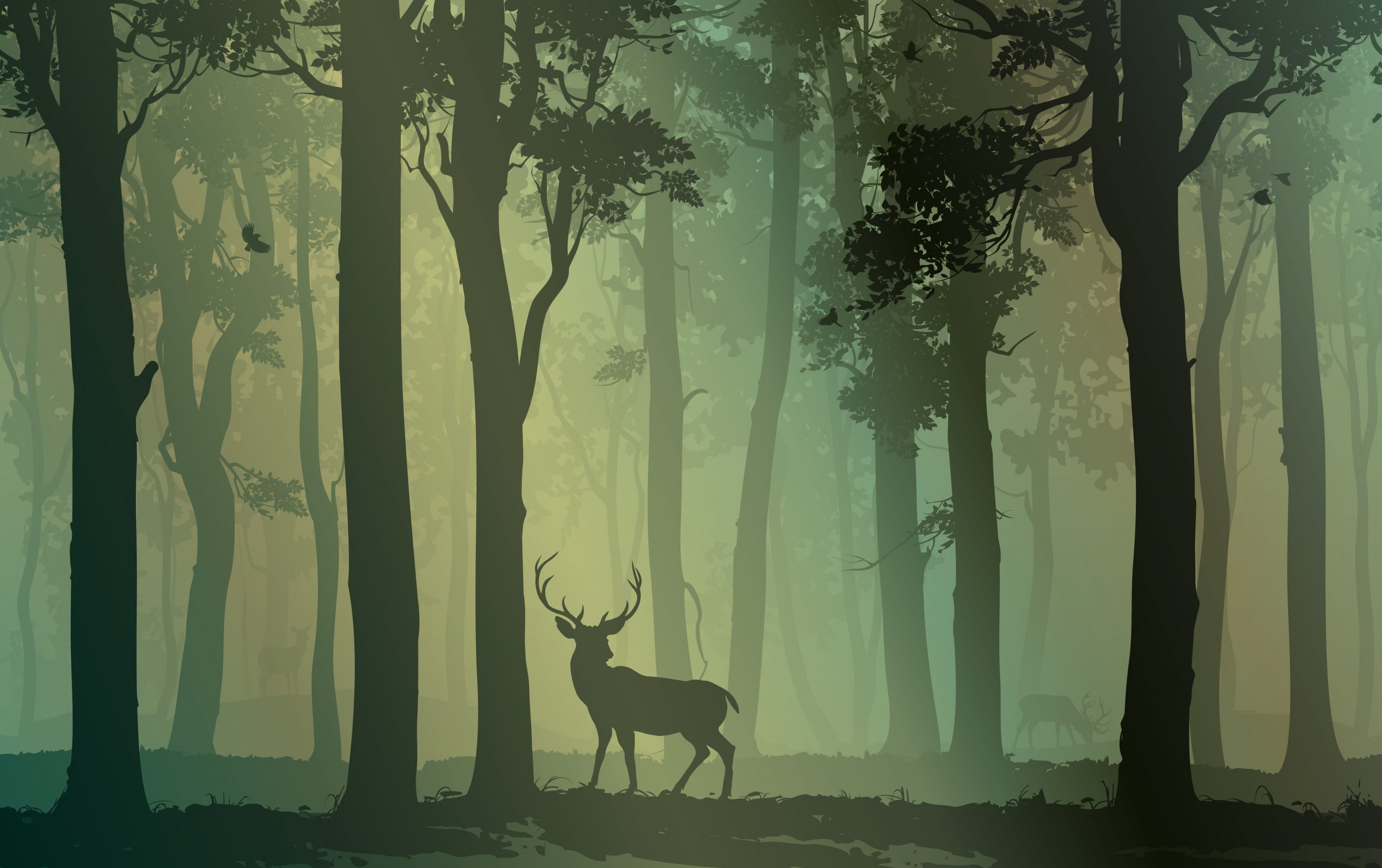 Deciduous Forest with Birds an - Phone Cases Custom review and price