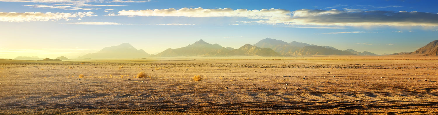 Desert in the Afternoon Sun Sp - Phone Cases Custom review and price
