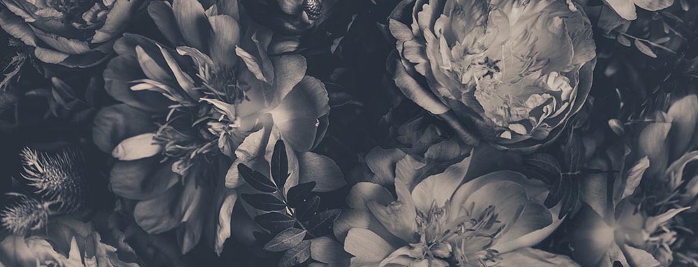 Atmospheric Peonies Splashback - Phone Cases Custom review and price