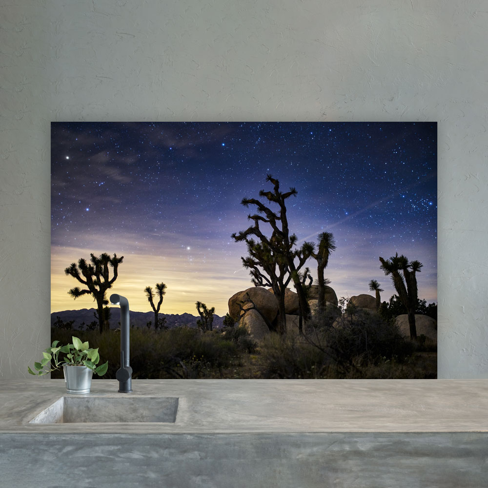 Joshua Tree Park Splashback  - - Phone Cases Custom review and price