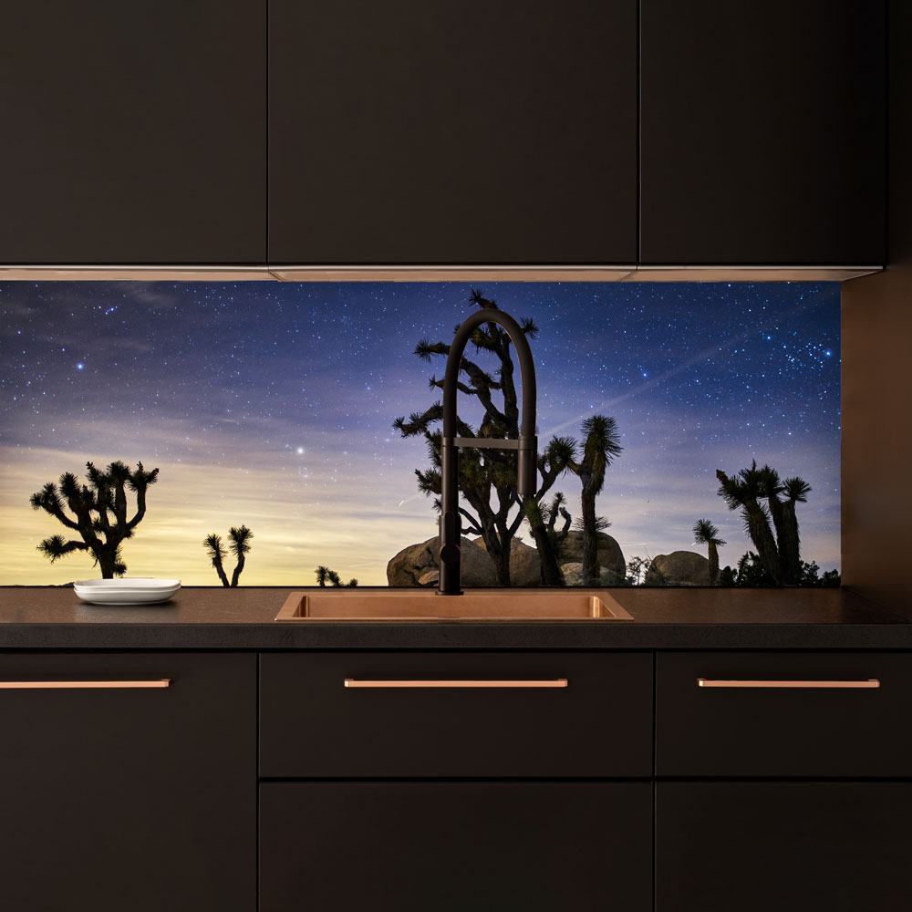 Joshua Tree Park Splashback  - - Phone Cases Custom review and price