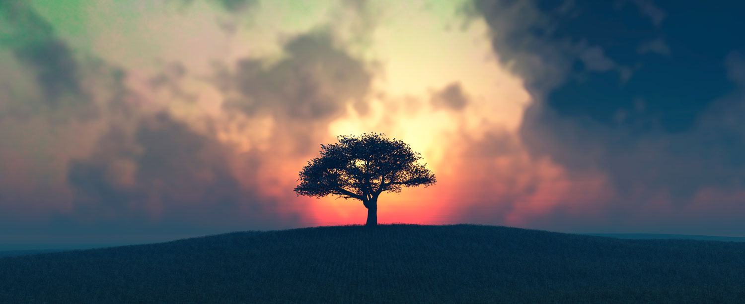 Solitary Tree Splashback  - Cu - Phone Cases Custom review and price