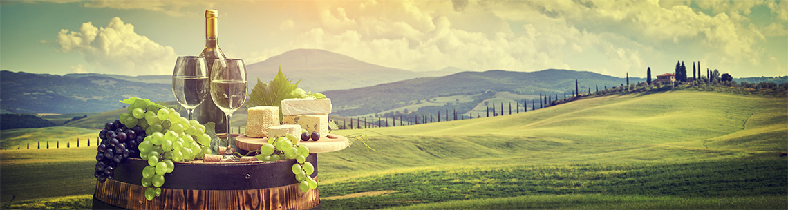 Tuscany Vineyard Splashback  - - Phone Cases Custom review and price