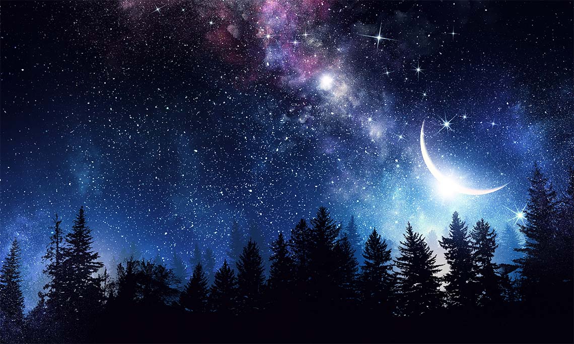 Night Magic Splashback  - Cust - Phone Cases Custom review and price