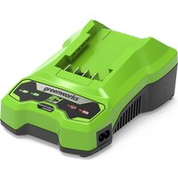 Greenworks G24C4 24v Cordless  - Phone Cases Green review and price