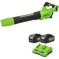 Greenworks BL48L 48v Cordless  - Phone Cases Green review and price