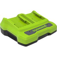 Greenworks G24X2UC2 24v Cordle - Phone Cases Green review and price