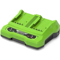 Greenworks G24X2UC4 24v Cordle - Phone Cases Green review and price