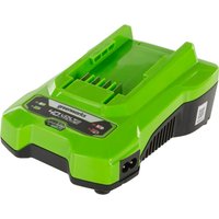 Greenworks G40C 40v Cordless L - Phone Cases Green review and price