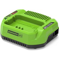 Greenworks G60C 60v Cordless L - Phone Cases Green review and price