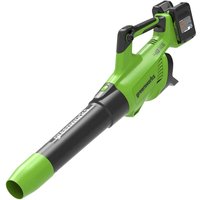 Greenworks GD24X2AB 48v Cordle - Phone Cases Green review and price