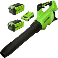 Greenworks GD40ABII 40v Cordle - Phone Cases Green review and price