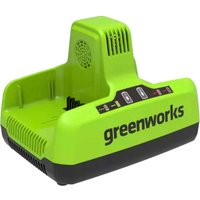 Greenworks 60v Cordless 6A Twi - Phone Cases Green review and price
